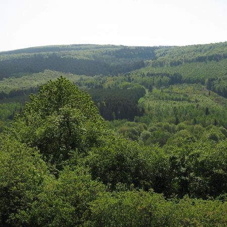 Berghotel Holzerath Экстерьер фото